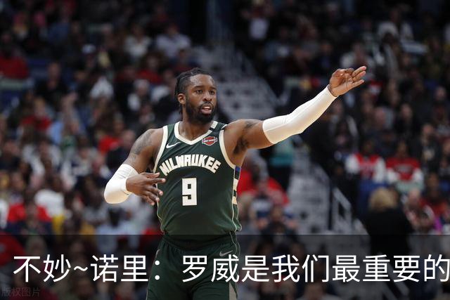 不妙~诺里：罗威是我们最重要的拼图 他和克林根能提供48分钟护筐
