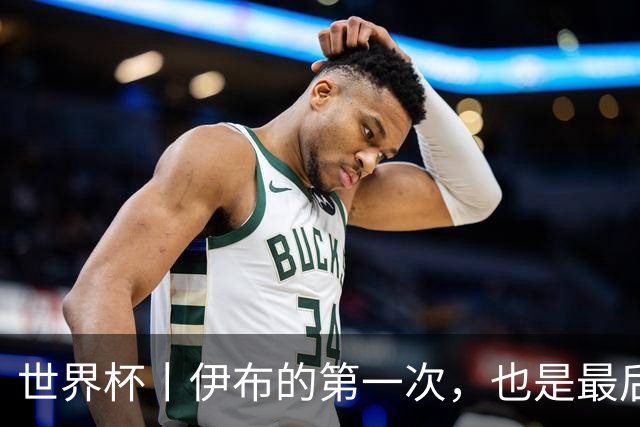 世界杯丨伊布的第一次，也是最后一次