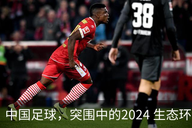 中国足球，突围中的2024 生态环境将实现好转