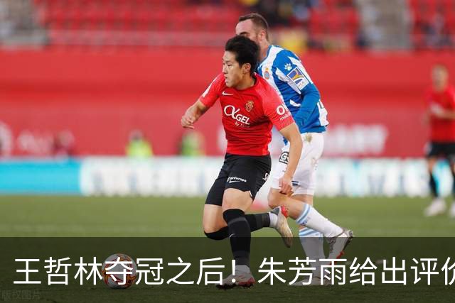 王哲林夺冠之后！朱芳雨给出评价，让众多主教练破防